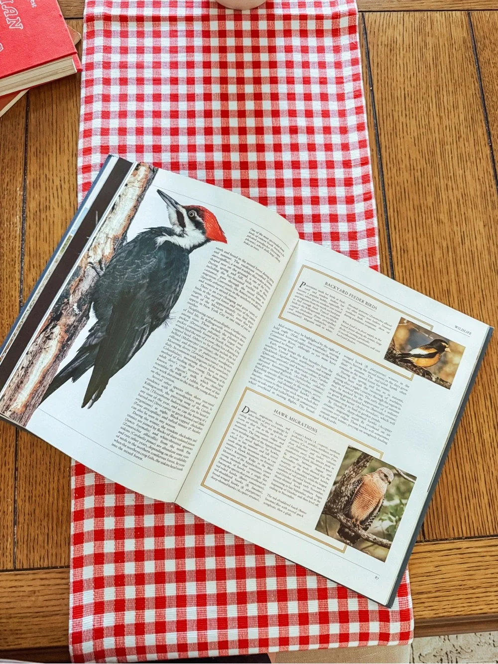 Classic Navy Hardcover Coffee Table Book - The Natural History of North America